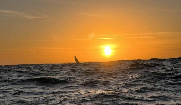Route du Rhum JOUR 2 : Yoann Richomme retardé mais loin d’être démoralisé !