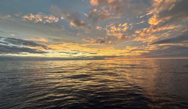 Jour 51 - Vendée Globe
